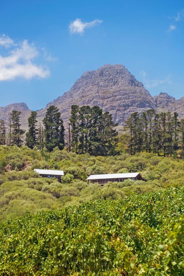 Bush Lodge At Hidden Valley Wines Stellenbosch Kültér fotó